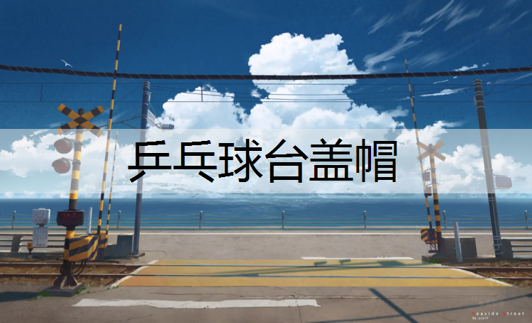 乒乓球台盖帽
