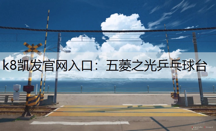 五菱之光乒乓球台